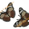 Термоаппликация "Бабочка бежево-коричневая" 5х7,5см 2шт (пёстрая)  